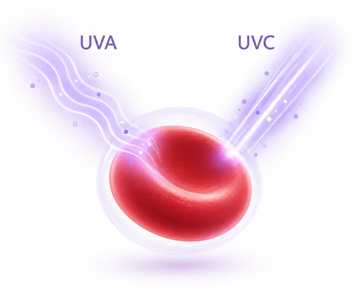 Illustration of light energy reaching a red blood cell, representing cellular antioxidant defence